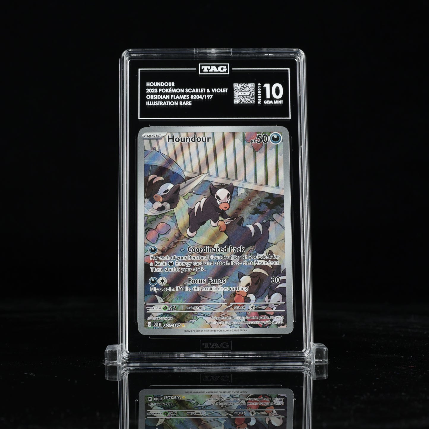 Pokemon TAG 10 Houndour #204/197 2023 Obsidian Flames