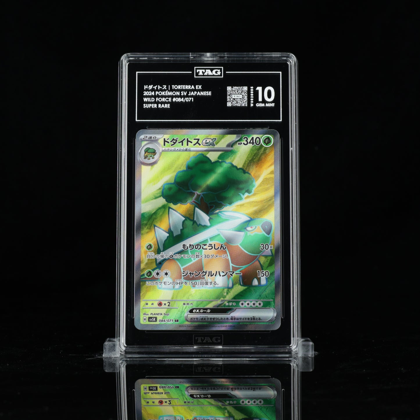 TAG 10 Torterra Ex #084/071 2024 Wild Force