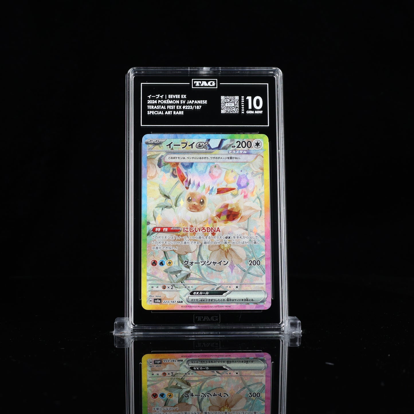 TAG 10 Eevee Ex